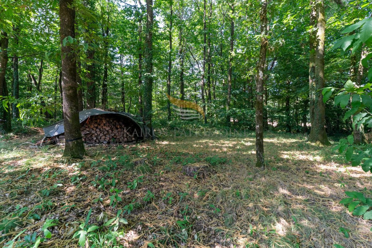 kairos patrimoine maison à vendre moustoir ac jardin boisé